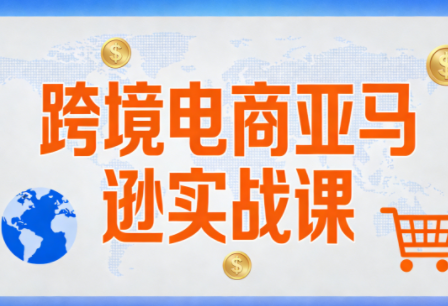 丝丝老师·跨境电商亚马逊实战课(更新2月)插图