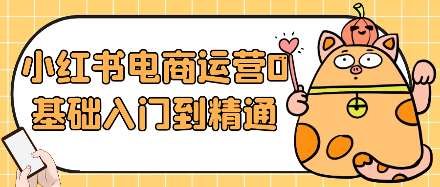 小红书电商运营0基础入门到精通-趣奇资源网-第5张图片