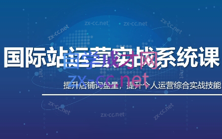 白老师·国际站运营实战系统(高质量询盘增长课)(更新)插图