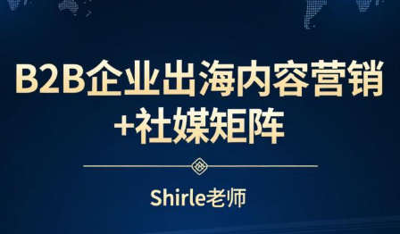 shirle老师·B2B企业出海内容营销+社媒矩阵插图